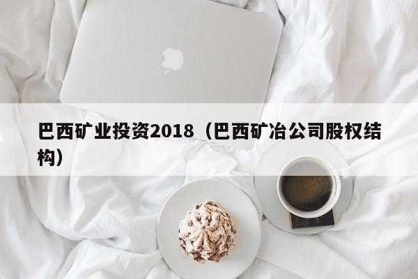 巴西矿业投资2018（巴西矿冶公司股权结构）