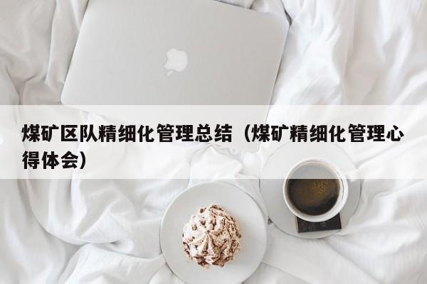 煤矿区队精细化管理总结（煤矿精细化管理心得体会）